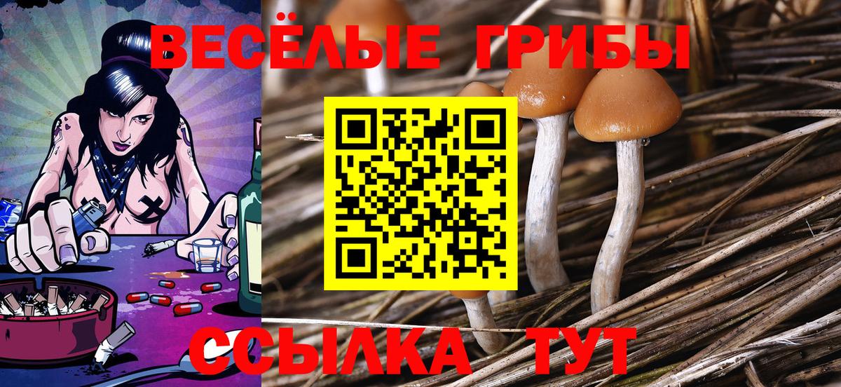 Псилоцибиновые грибы прущие грибы  Вход с VPN  Симферополь 