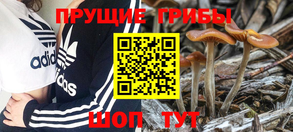 Галлюциногенные грибы MAGIC MUSHROOMS Симферополь
